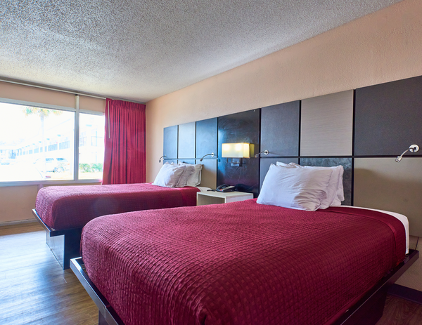 2 Double Beds Non-Smoking Photo 2